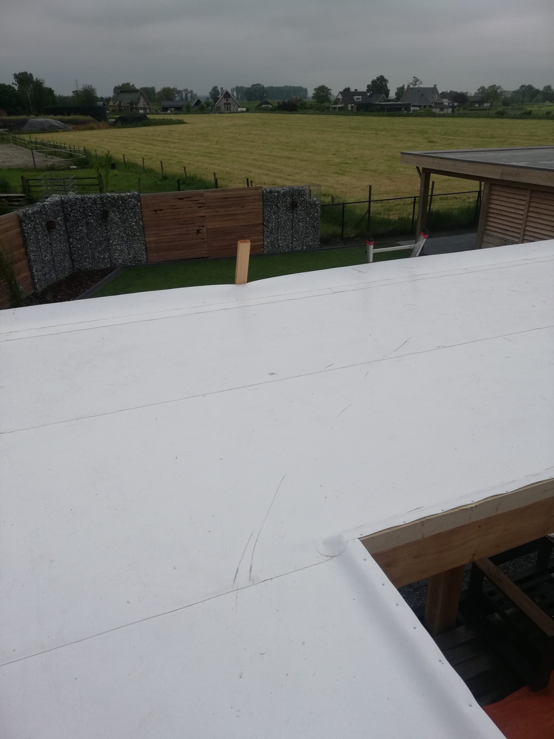 Tuinhuis met spierwitte KÖSTER TPO 2.0 dakbedekking